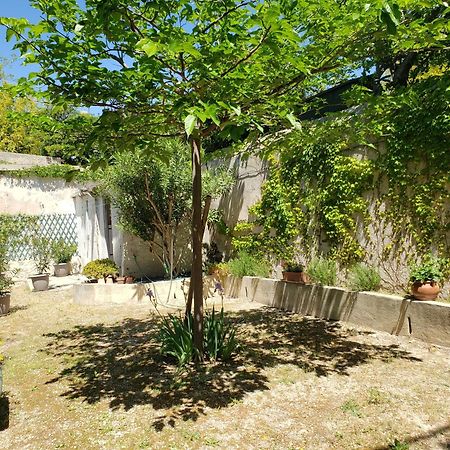 Appartement Au Coeur De Cassis Avec Jardin エクステリア 写真
