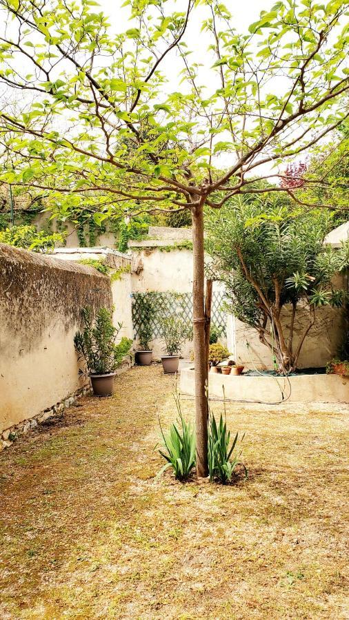 Appartement Au Coeur De Cassis Avec Jardin エクステリア 写真
