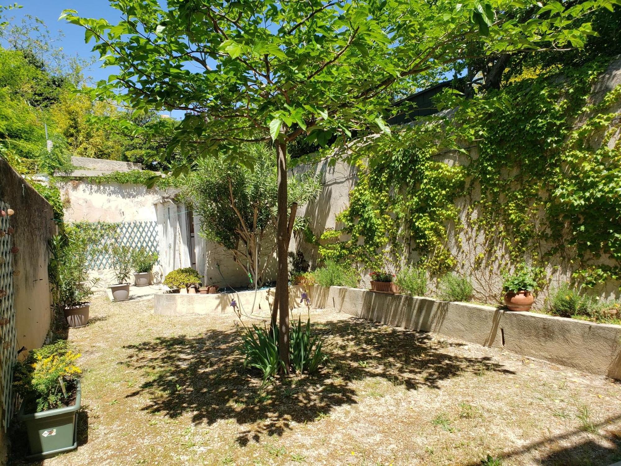 Appartement Au Coeur De Cassis Avec Jardin エクステリア 写真